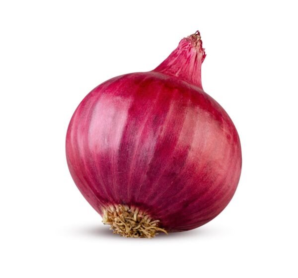 Onion