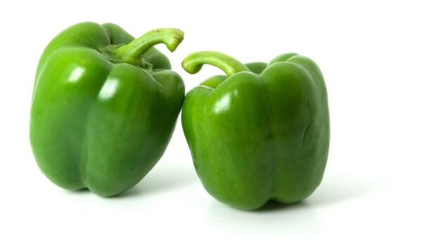 Capsicum